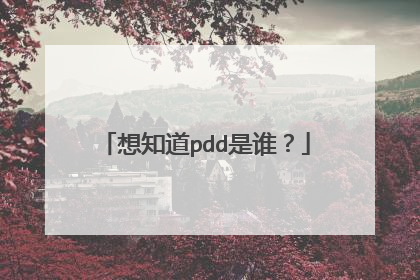想知道pdd是谁?