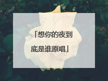 想你的夜到底是谁原唱