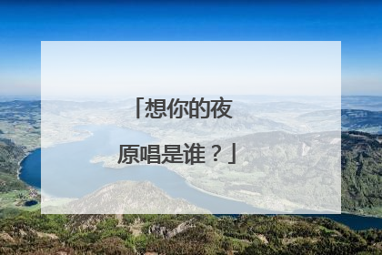 想你的夜 原唱是谁?