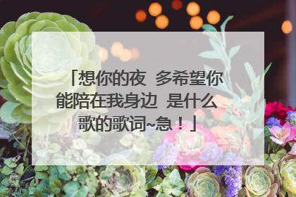 想你的夜 多希望你能陪在我身边 是什么歌的歌词~急！
