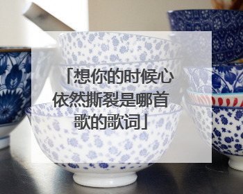 想你的时候心依然撕裂是哪首歌的歌词