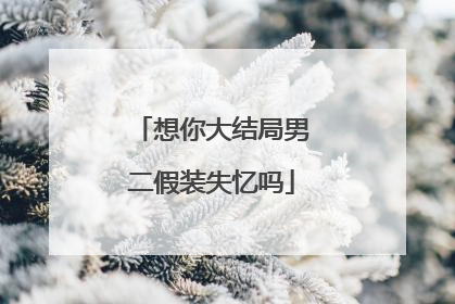 想你大结局男二假装失忆吗