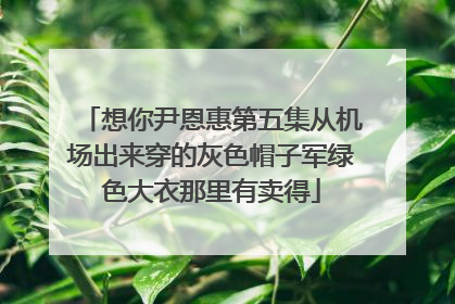 想你尹恩惠第五集从机场出来穿的灰色帽子军绿色大衣那里有卖得