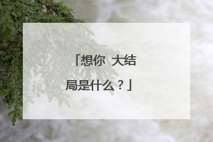 想你 大结局是什么?