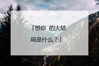 想你 的大结局是什么?
