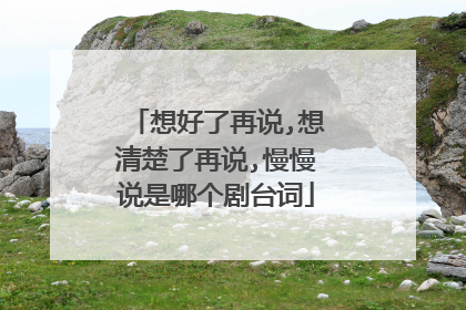 想好了再说,想清楚了再说,慢慢说是哪个剧台词