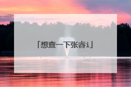 想查一下张睿i