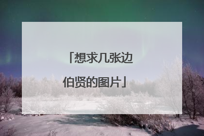 想求几张边伯贤的图片