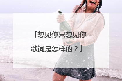 想见你只想见你歌词是怎样的？