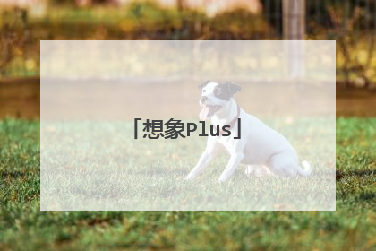想象Plus