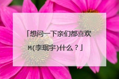想问一下亲们都喜欢M(李珉宇)什么？