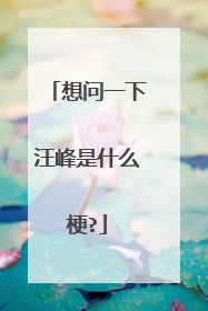 想问一下汪峰是什么梗?