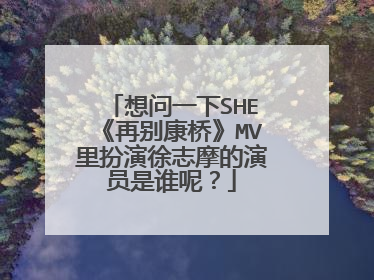 想问一下SHE《再别康桥》MV里扮演徐志摩的演员是谁呢?