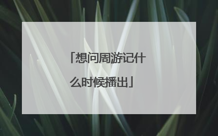 想问周游记什么时候播出