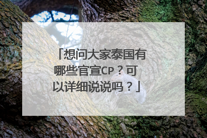想问大家泰国有哪些官宣CP？可以详细说说吗？