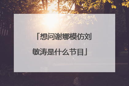 想问谢娜模仿刘敏涛是什么节目