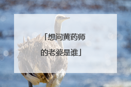 想问黄药师的老婆是谁