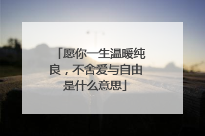 愿你一生温暖纯良，不舍爱与自由是什么意思