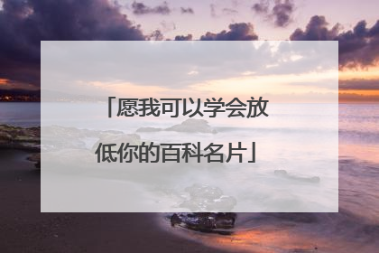 愿我可以学会放低你的百科名片
