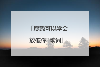愿我可以学会放低你 歌词
