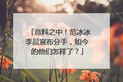 意料之中!范冰冰李晨宣布分手,如今的他们怎样了?