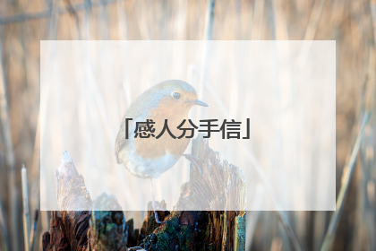 感人分手信