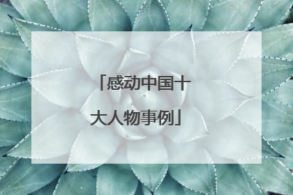 感动中国十大人物事例