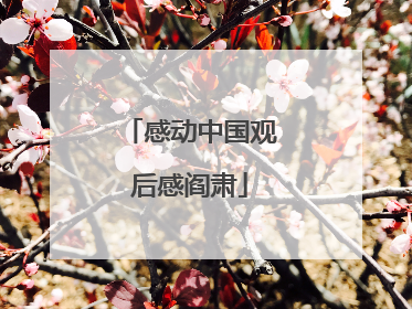 感动中国观后感阎肃