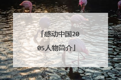 感动中国2005人物简介