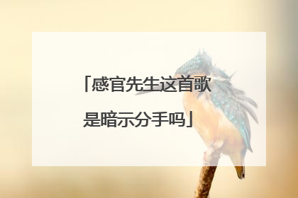 感官先生这首歌是暗示分手吗