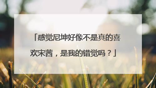感觉尼坤好像不是真的喜欢宋茜,是我的错觉吗?