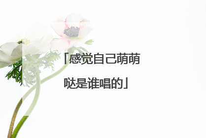 感觉自己萌萌哒是谁唱的