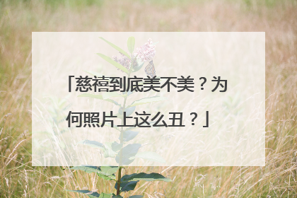 慈禧到底美不美？为何照片上这么丑？