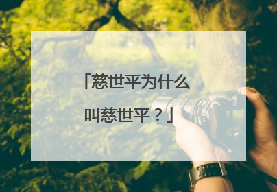 慈世平为什么叫慈世平？