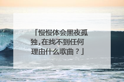慢慢体会黑夜孤独,在找不到任何理由什么歌曲?
