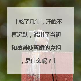 憋了几年，汪峰不再沉默，说出了当初和葛荟婕离婚的真相，是什么呢？