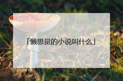 懒思量的小说叫什么