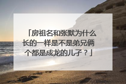 房祖名和张默为什么长的一样是不是弟兄俩个都是成龙的儿孑?