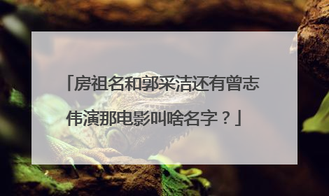 房祖名和郭采洁还有曾志伟演那电影叫啥名字?