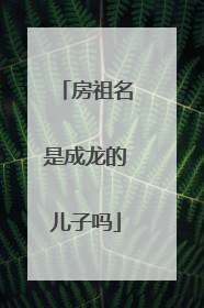 房祖名是成龙的儿子吗