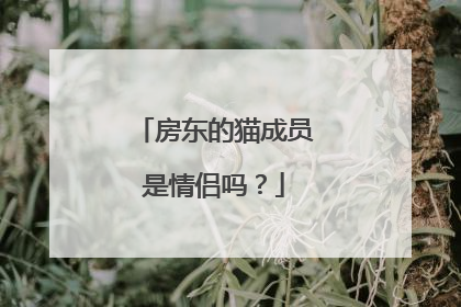 房东的猫成员是情侣吗?