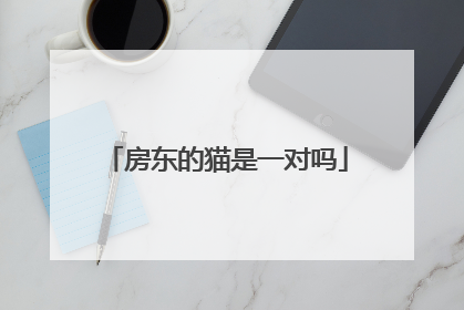 房东的猫是一对吗