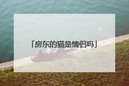 房东的猫是情侣吗