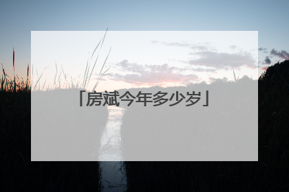 房斌今年多少岁