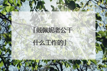 戴佩妮老公干什么工作的