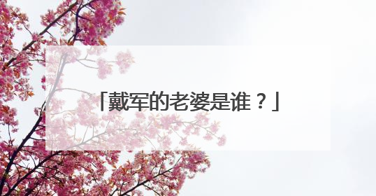 戴军的老婆是谁？