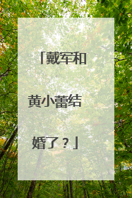 戴军和黄小蕾结婚了？