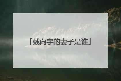 戴向宇的妻子是谁
