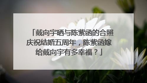 戴向宇晒与陈紫函的合照庆祝结婚五周年，陈紫函嫁给戴向宇有多幸福？