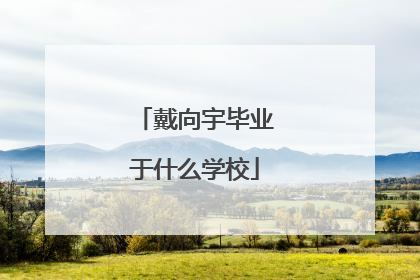 戴向宇毕业于什么学校